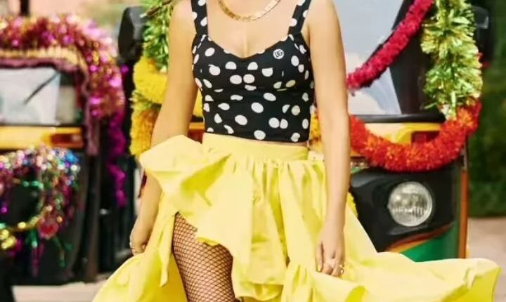 نانسي عجرم على شانك