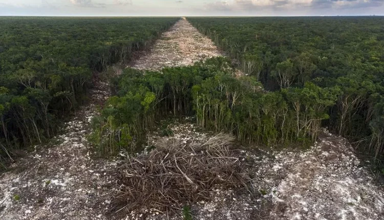 816x0_le-bulldozer-du-tourisme-de-fernando-constantino-martinez-belmar-mexique