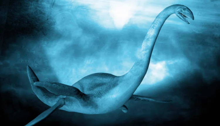 nintchdbpict000000638997