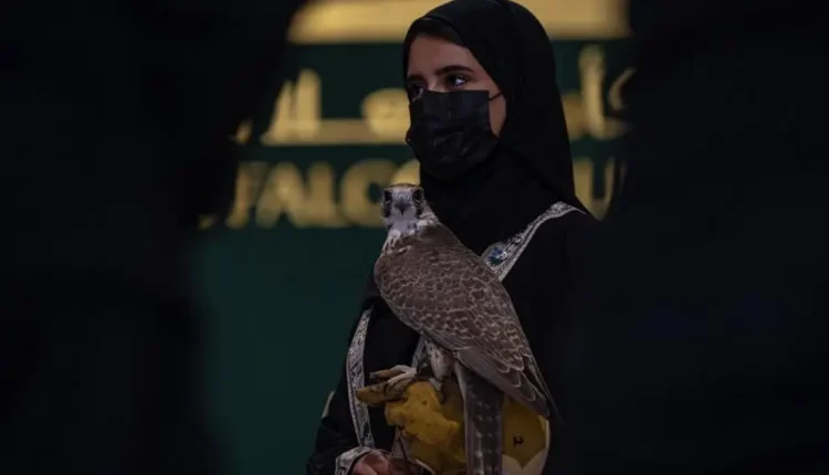 صقارة2