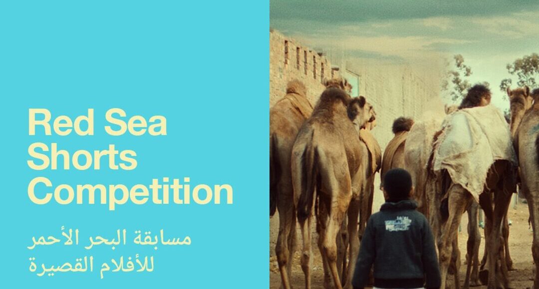 مهرجان البحر الأحمر