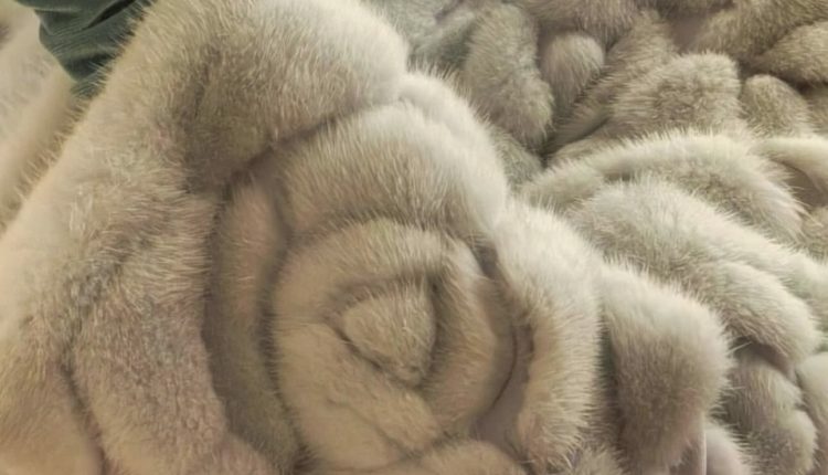 thumbnail_IMG_8606_024121