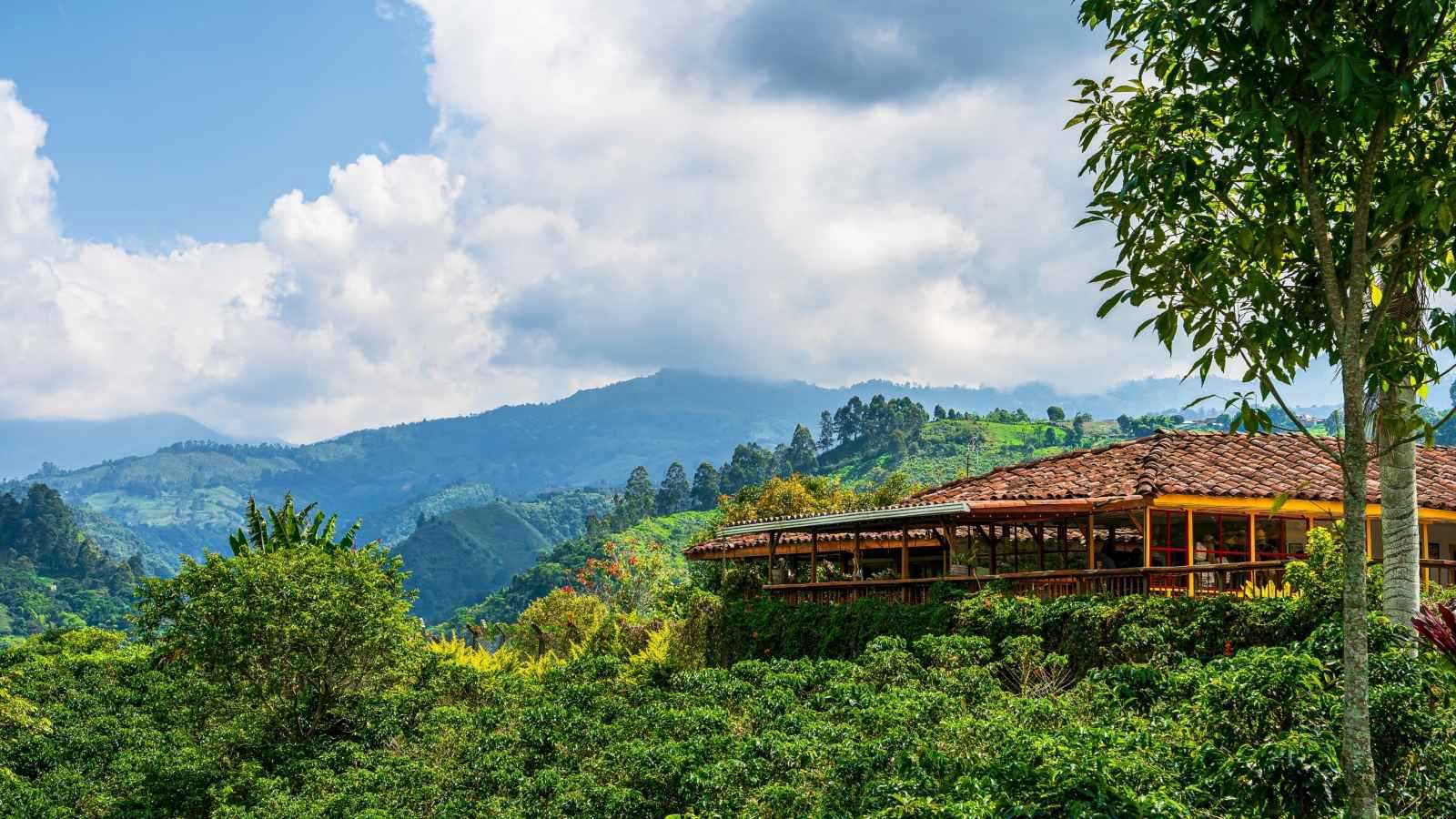 Sorry! Image not available at this time